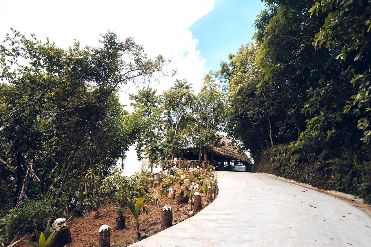 Beluu Sea View Resort Koror Exteriér fotografie